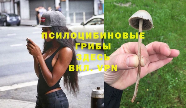 а пвп мука Костерёво