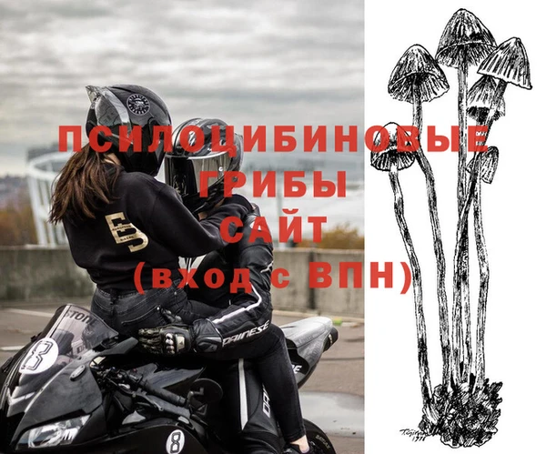 кокс Абдулино