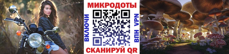 Псилоцибиновые грибы GOLDEN TEACHER  Нижнекамск 